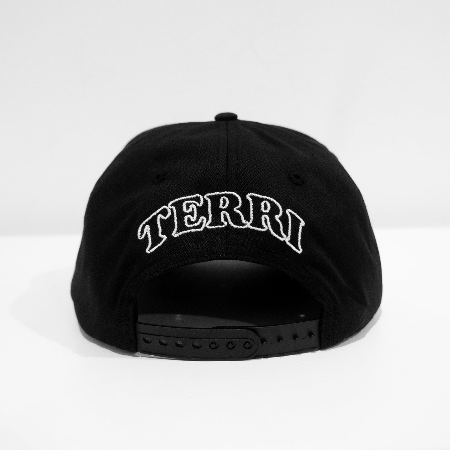 terri snapback